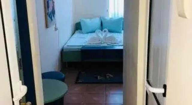 Rosemarie Neptun, Boek Hotel Neptun Constanta