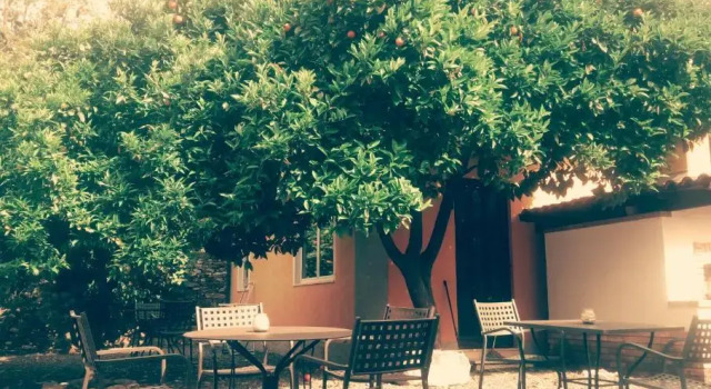 Апартаменты Agriturismo Ardissone Thomas