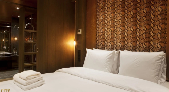 Люкс Manzos Suites