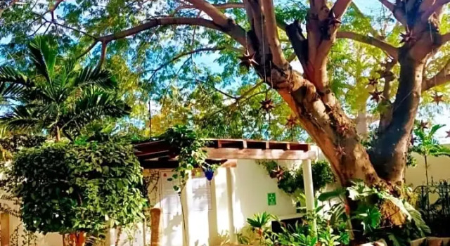 Номер Standard Villas Parota