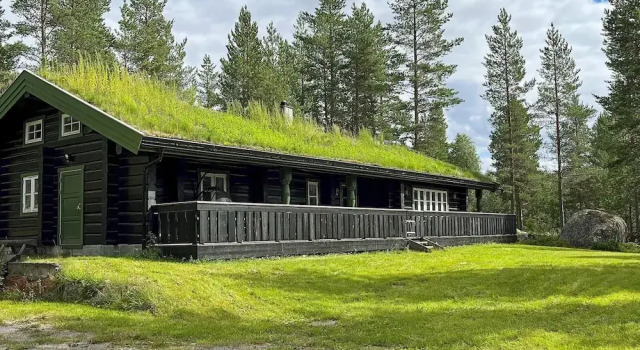Коттедж 5 Star Holiday Home in Hemsedal
