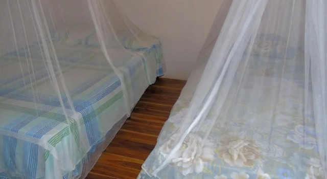 Бунгало с видом на сад Hostal Villas Mexico
