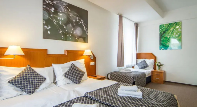 Семейный номер Standard LH Hotel Mědínek Old Town