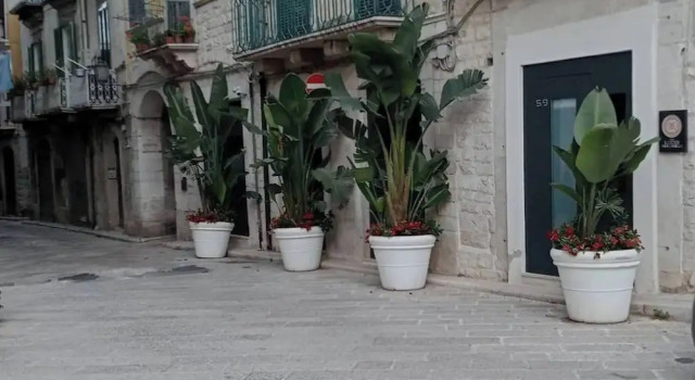 Locus Pendinelli Trani 53-the Philosophy of a B&b, the Details of a Hotel!!!