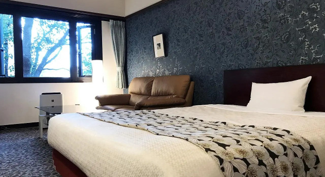 Двухместный номер Standard Hotel Okus