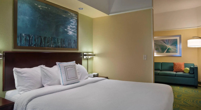 Двухместный люкс SpringHill Suites St Petersburg Clearwater