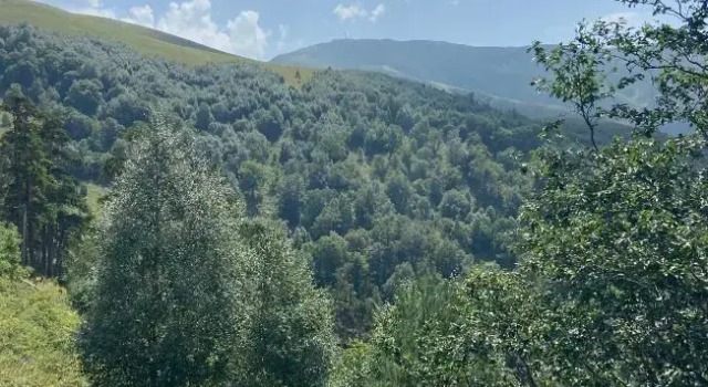 Вилла AKO'S sweet home