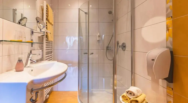 Двухместный номер Standard Hotel Der Schmittenhof