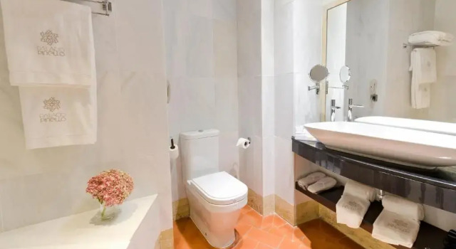 Двухместный номер Deluxe Palacio Pinello