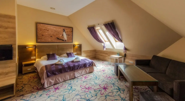 Номер Superior Hotel & SPA Czarny Groń