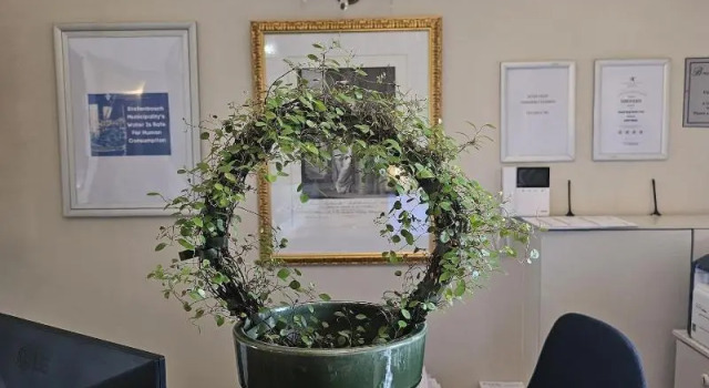 Baruch Guest House on Lovell, Забронировать Гостевой дом Стелленбос Парл, рядом с African Art Boutique Stellenbosch