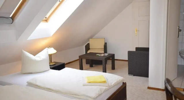 Camera doppia Standard Hotel Zur Hallenburg