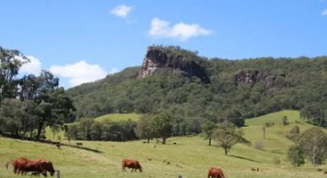 Rosevale House, Rezervasyon Otel Ninderry Sunshine Coast