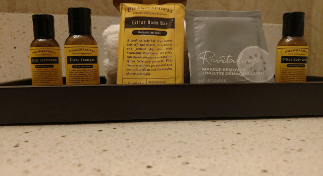 Двухместный люкс Best Western Plus Dayton Hotel & Suites