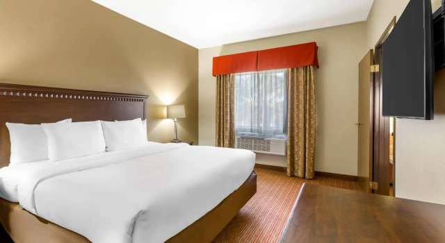 Двухместный люкс Comfort Inn Phoenix Central City