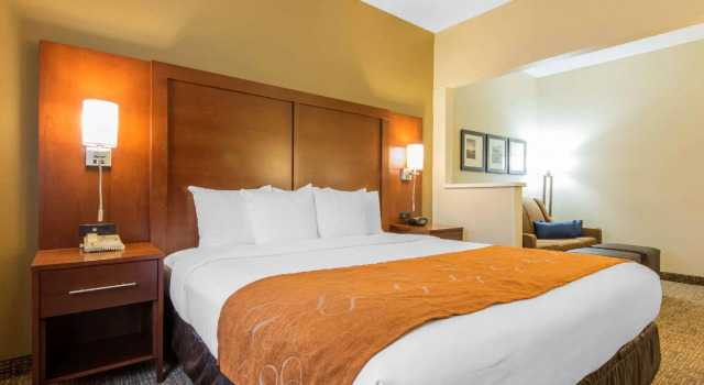 Двухместный люкс Comfort Suites Rochester Henrietta University Area