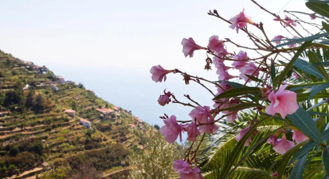 Il Nettare Agriturismo
