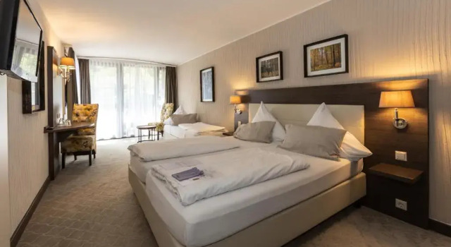 Трёхместный номер Standard Parkhotel Luise Bad Herrenalb