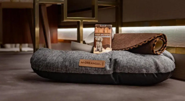 Двухместный номер Deluxe Wine & Books Lisboa Hotel