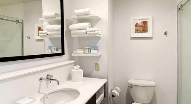 Студия Hampton Inn Mount Pleasant