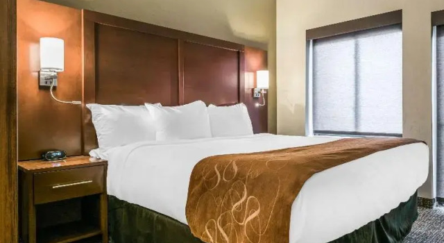 Номер Standard Comfort Suites Florence - Cincinnati South