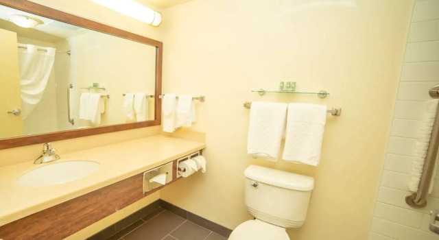 Dvoulůžkový s manželskou postelí Apartmá Best Western Thompson Hotel & Suites