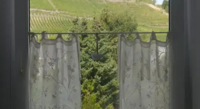 Altes Weingut Weinhaus Rebstock, Забронировать Апартаменты/квартира Отели Виннинген с парковкой, Парковка