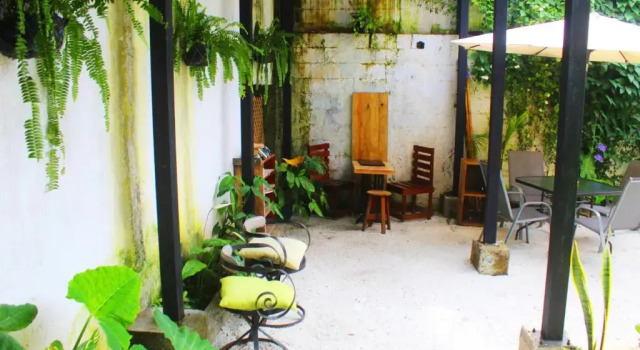 Volko Party  Hostal