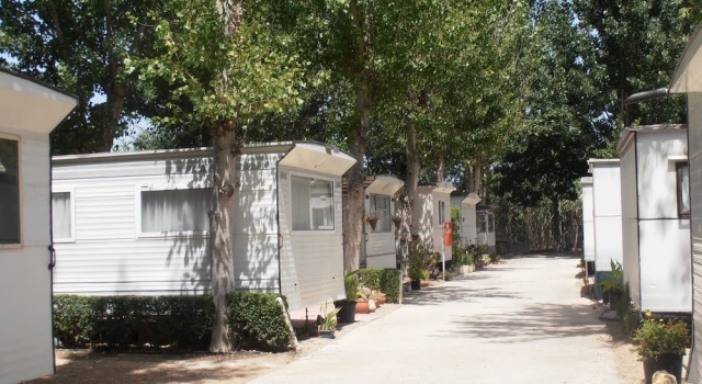 Двухместный номер Standard Oasis Country Park