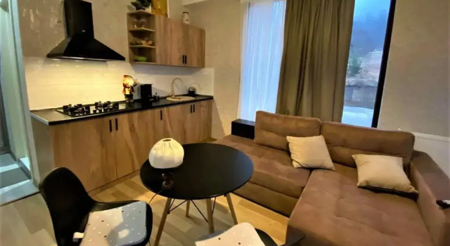 Apartment 123, Rezerwuj Apartament Bakuriani Samckhe Javakheti