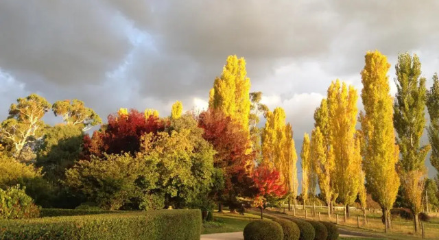 Коттедж Glen Waverly Farmstay