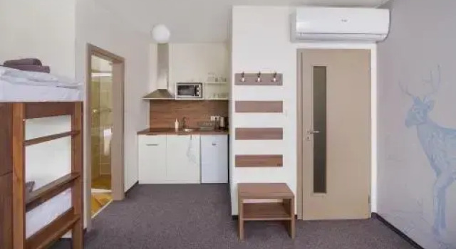 Penzion Lesni, Rezerwuj Hotel Hotele w Central Bohemia z parkingiem, Parking