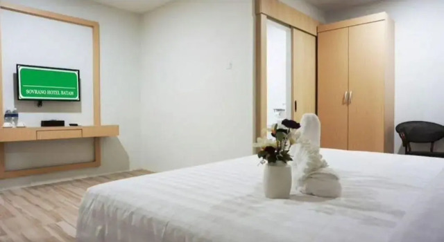 Suite Business Sovrano Hotel