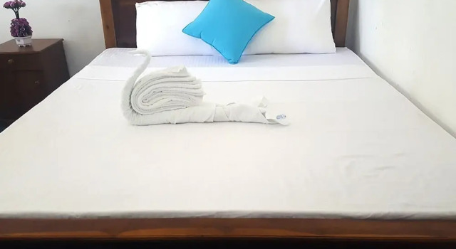 Tours for Srilanka Transit Hotel