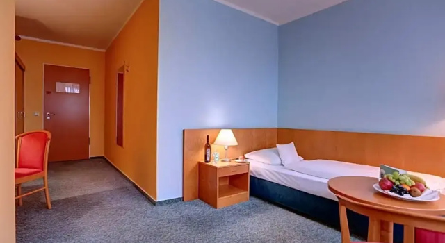 Одноместный номер Standard Park Hotel Blub