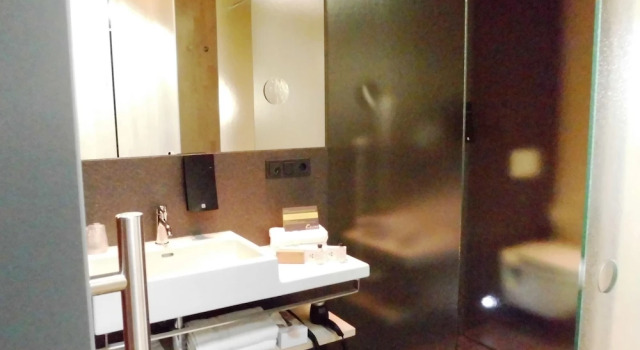 Люкс с балконом Hotel de lEcluse Superior