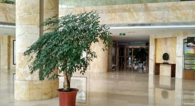 Lanchen Hotel, Rezerwuj Hotel Hotele w Binjiang ze śniadaniem, Śniadanie