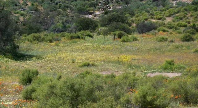 Biesjesfontein B&B, Book Bed and Breakfast Hoteller i Springbok med parkering, Parkering