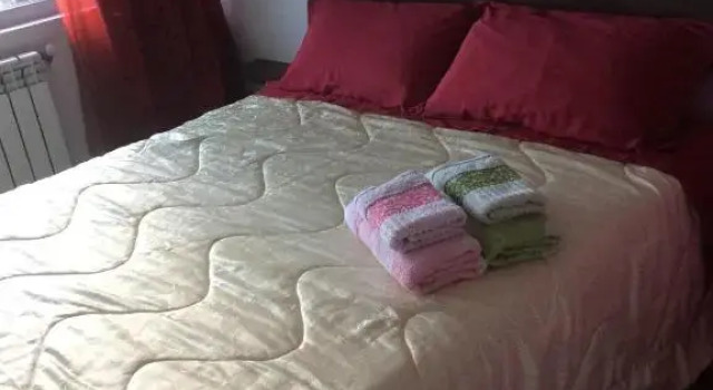 Номер Standard Buşteni House