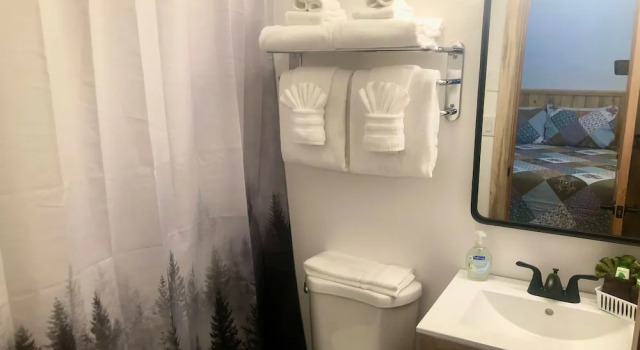 Трёхместный семейный номер Standard Alpine Lodge Hotel