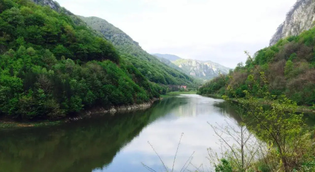 Vila Floare De Colt, Varaa Hotelli Hotellit Carpathians - Romania uima-altaalla, Uima-allas
