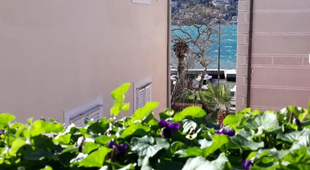 Апартаменты Apartments Krsto Dobrisa