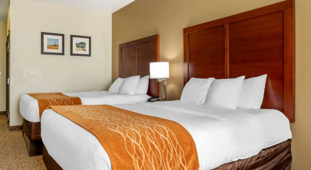 Четырёхместный номер Standard Comfort Inn Near UNT