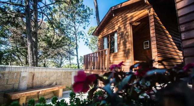 Номер Standard Cabañas Monte Alto Hotel Boutique