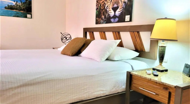 Номер Standard Hotel Zima