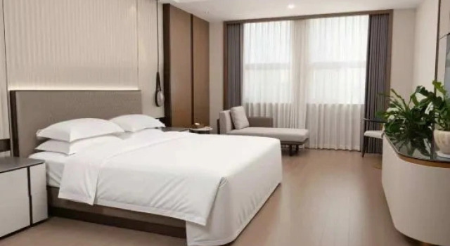 Suite Premier Wangjiang International Hotel