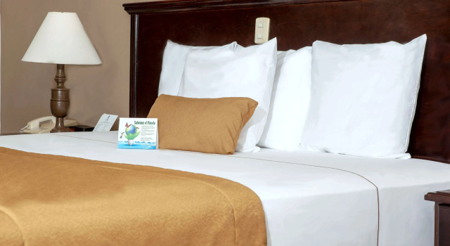 Двухместный номер Standard Best Western Hotel Posada Del Rio Express
