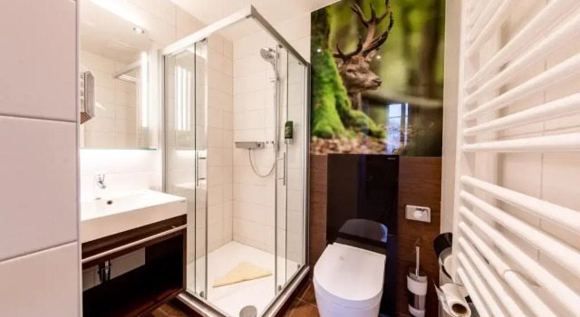Номер Comfort Ringhotel Jägerhof