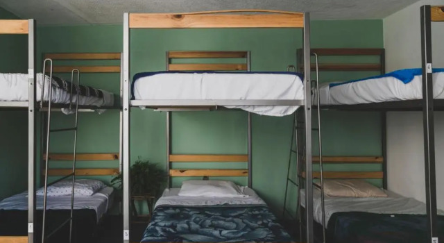 Кровать в общем номере Monkey Safari Hostel