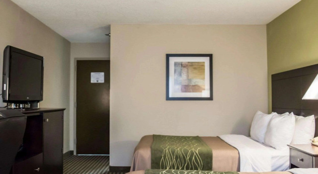 Comfort Inn & Suites St Pete - Clearwater International Airport, Reserva ahora Hotel Clearwater Beach Playas de Clearwater y St. Pete Beaches